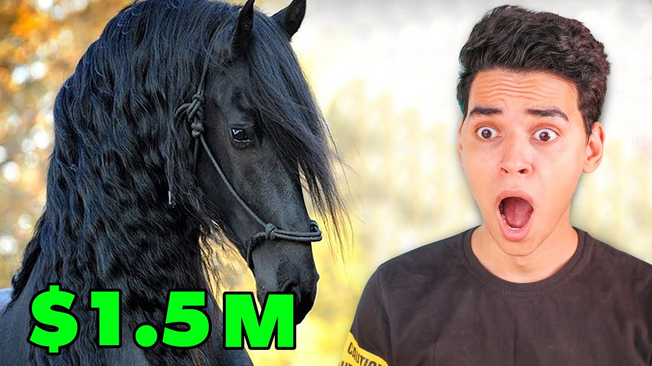 اغلي الحيوانات في العالم !! مكنتش متوقع السعر دا 😲🐒
