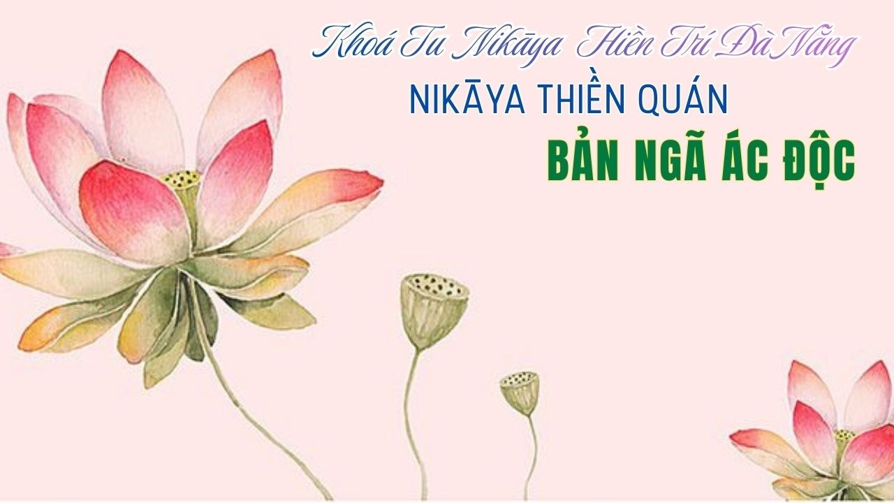 NIKAYA Thiền Quán - Bản Ngã Ác Độc *