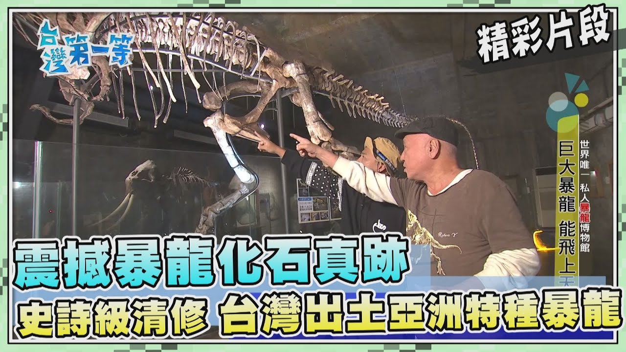 台灣第一等【台灣出土暴龍化石真跡 史詩級清修身價上億元】_477集精選版