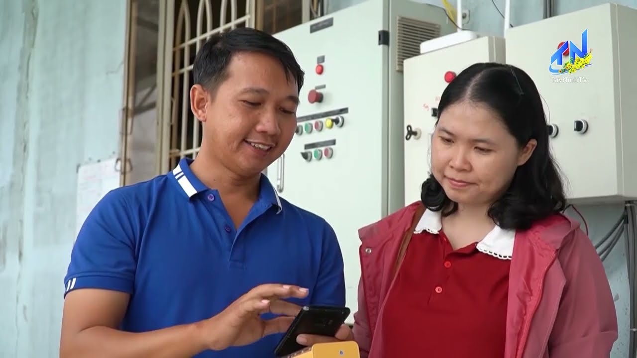Nhà nông sáng tạo với mô hình  trồng rau thủy canh hồi lưu màng mỏng | TayNinhTV
