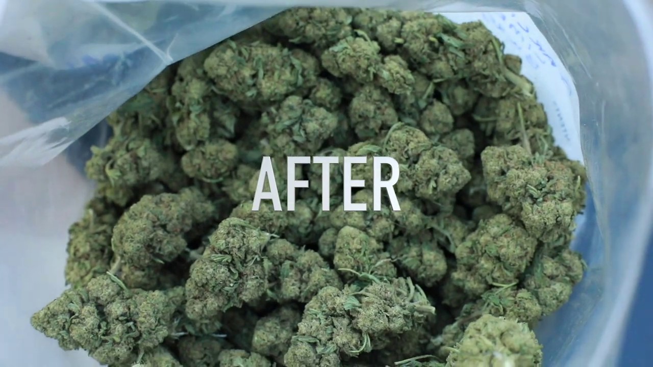Green Dope X Triminator - Dry trimmer before and after with Mendo Dope