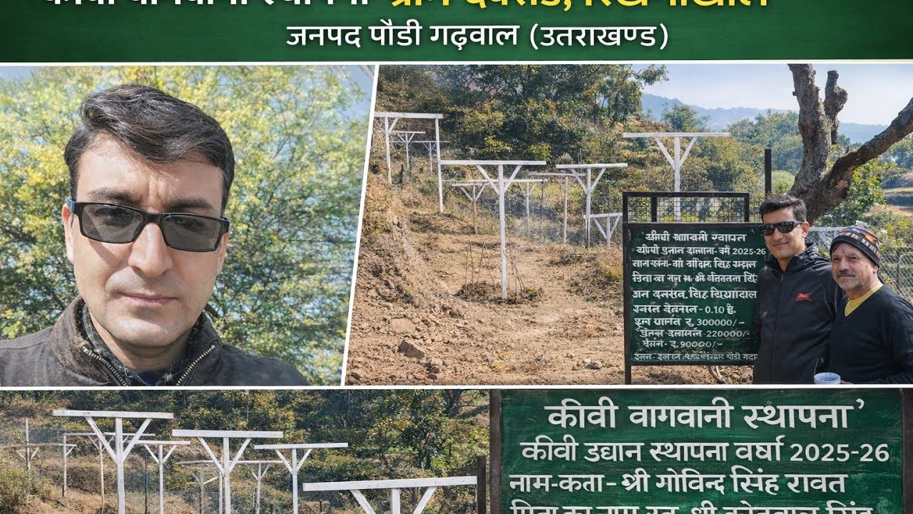 #कीवी स्थापना 2026 ग्राम डबराड पौडीगढ़वाल #virelvideo  #kiwi #vlog 