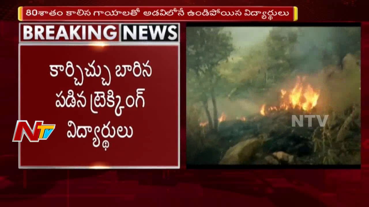 College Sudents Caught in Forest Fire in Tamil Nadu || Rescue Operation Underway || NTV