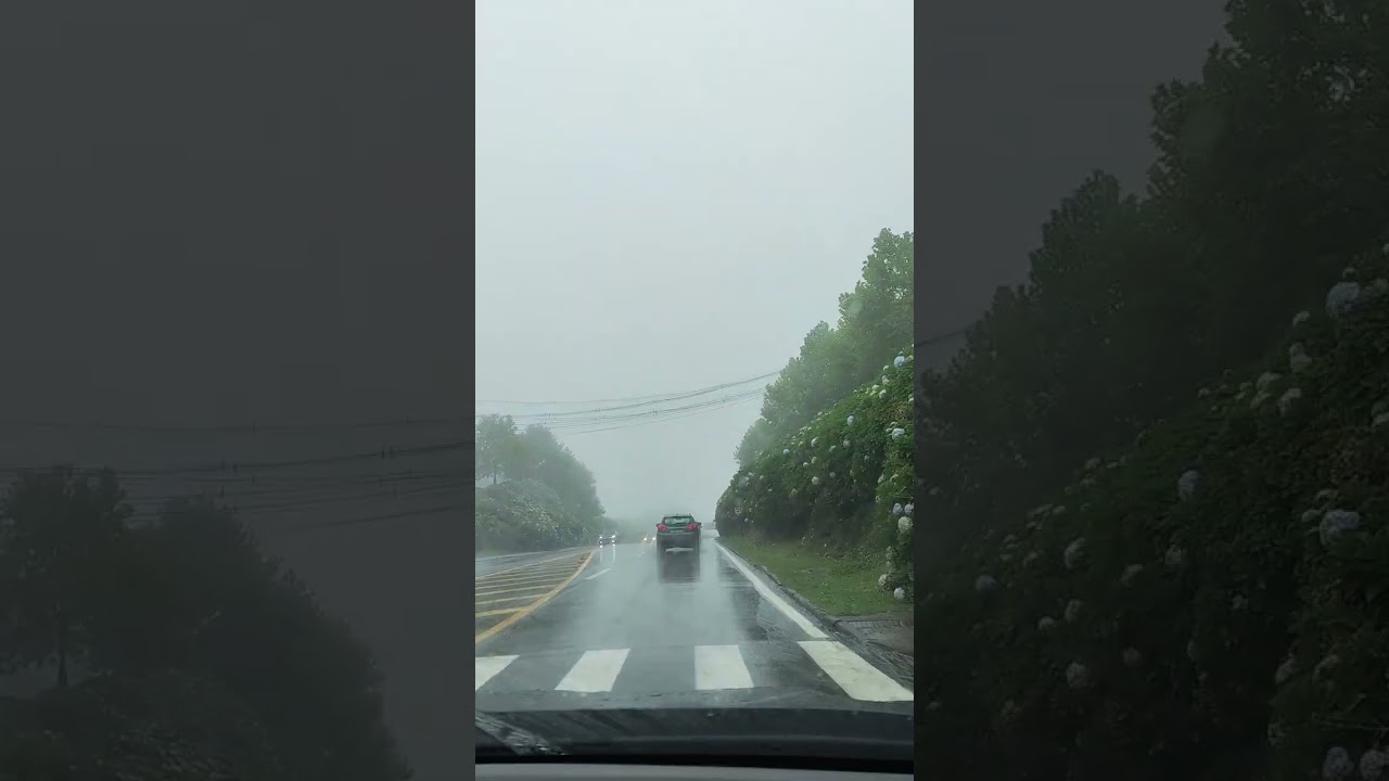 Viagem Curitiba x Gramado - Fevereiro 2026 - Subindo a Serra de Gramado