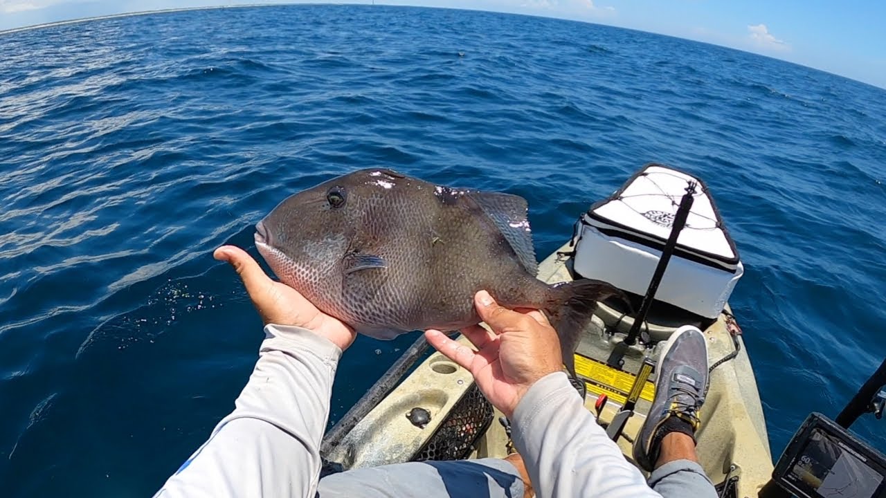 Tough Offshore Trip Kayak Fishing Navarre Reefs