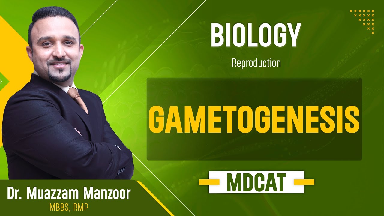 34. Biology | Reproduction | Gametogenesis | MDCAT 2026