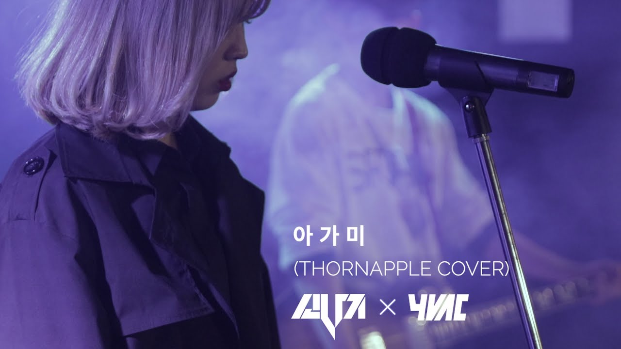 연세대학교 락밴드 소나기 - 아가미(쏜애플 cover)