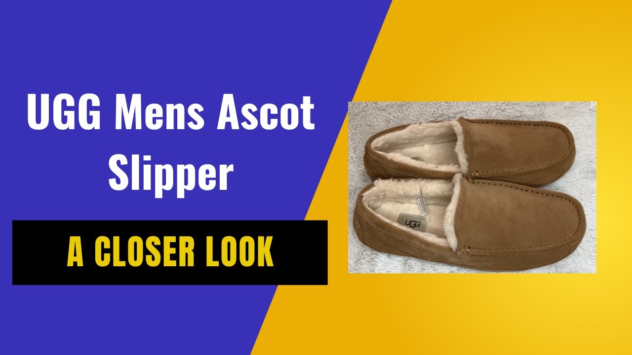 My Thoughts on the Ugg Ascot Mens Slippers after 2 years
