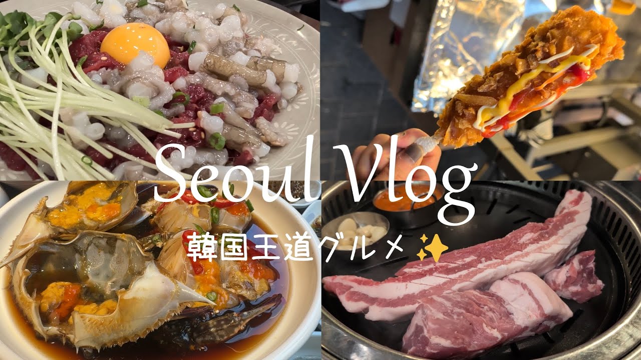 【ソウルVlog】Peach×相鉄ホテルズが最強過ぎた❤移動費を抑えて絶品グルメを食べつくす🍴ルームツアーあり✨ホテルも大満足な3泊4日の夫婦旅✈