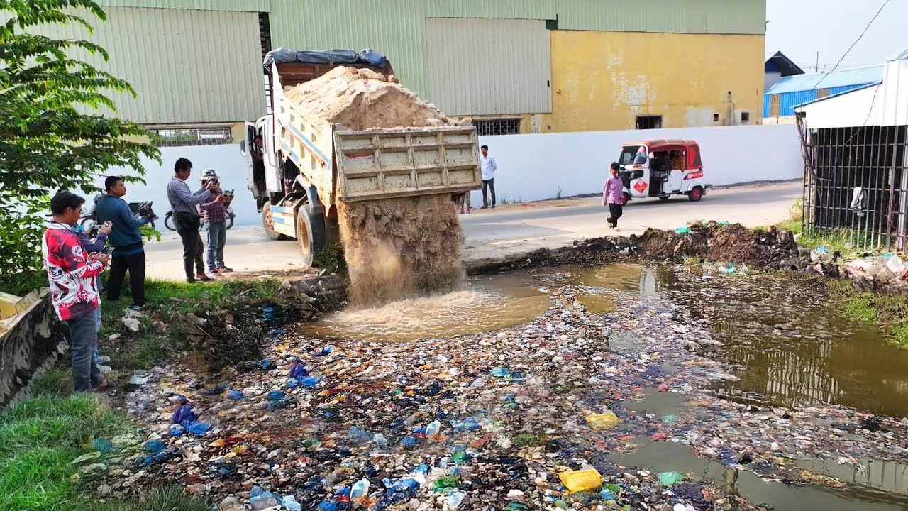 Best A New Project! Waste Management & Bulldozer & Truck Operation Clearing Waste from Flooded Land