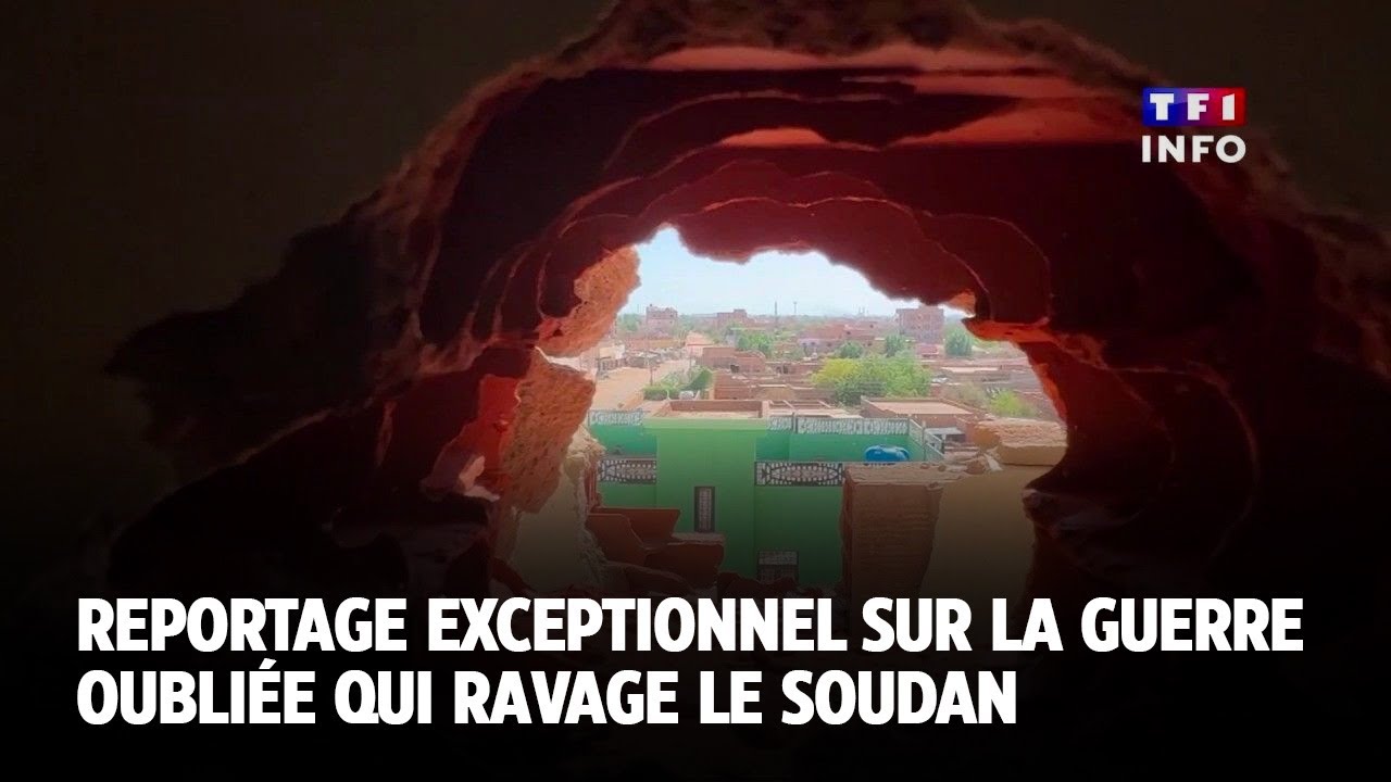 REPORTAGE - Guerre au Soudan : une tragédie oubliée｜TF1 INFO