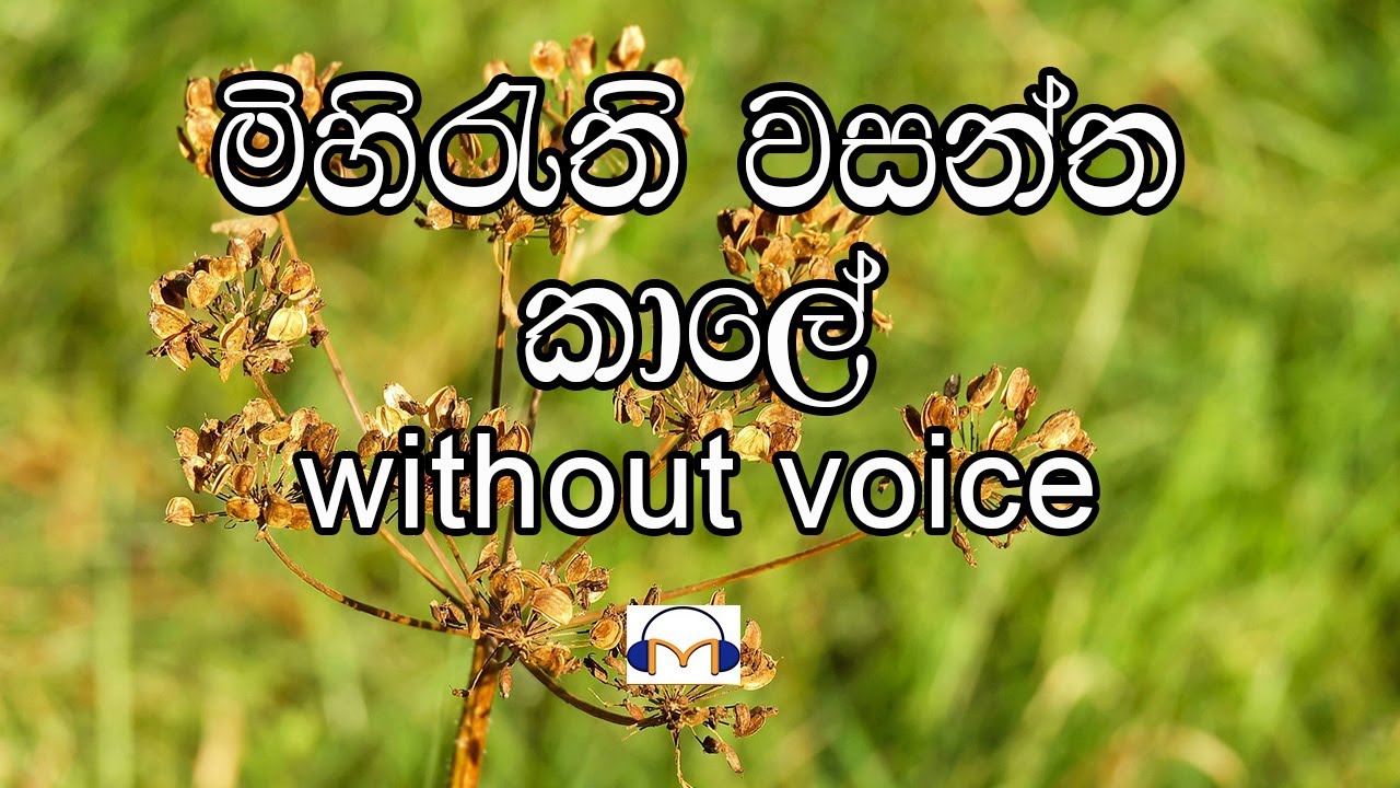 Mihirathi Wasantha Kale Karaoke (without voice) මිහිරැති වසන්ත කාලේ