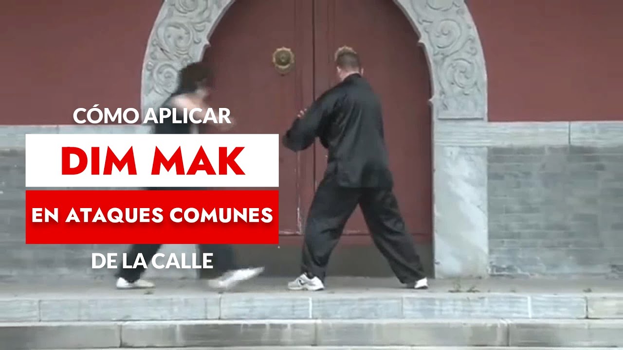 Aplicar Dim Mak en ataque común de la calle | Five Thunder Dim Mak | como usar puntos vitales