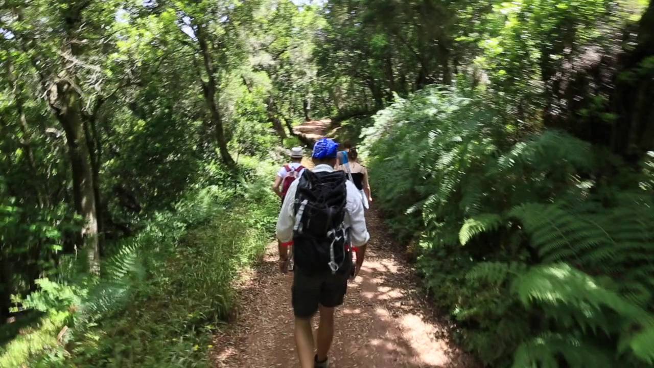 Wanderung im Lorbeerwald auf La Gomera