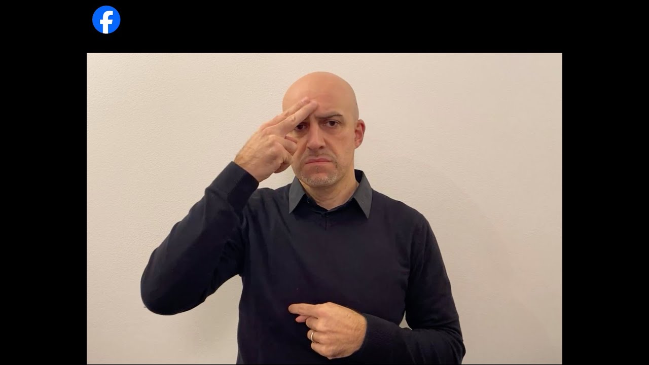 Diretta Facebook per la manifestazione nazionale di protesta - 27 Novembre 2024 - n. 3