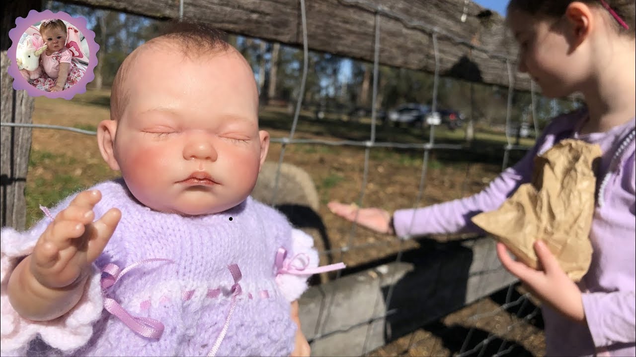 BIG REBORN OUTING for LITTLE REBORN BABY