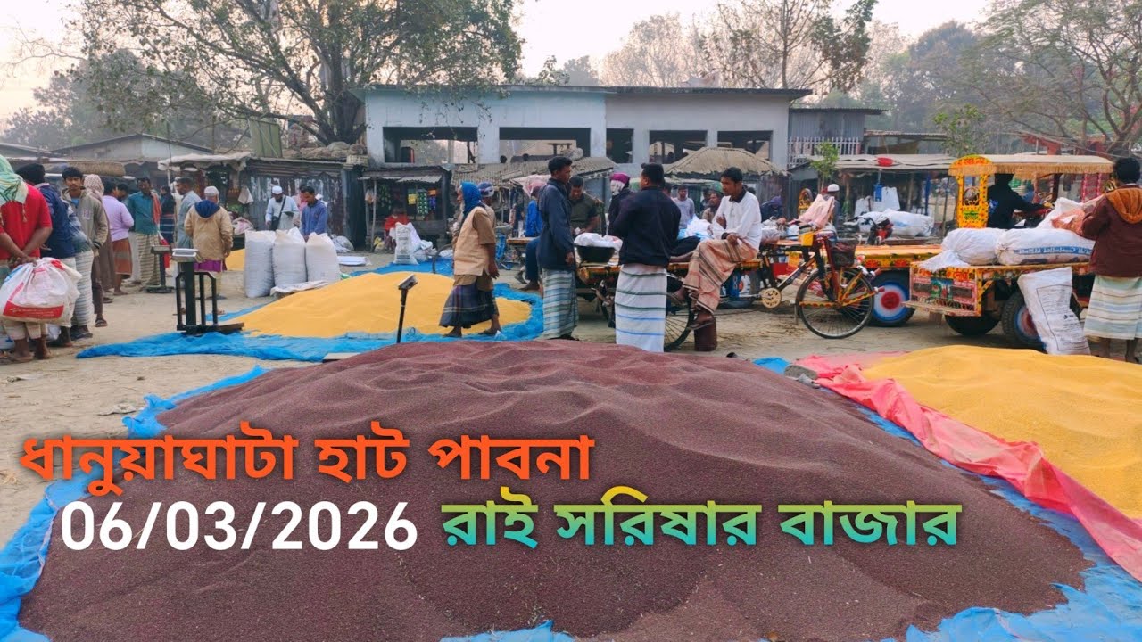 6 March 2026 আজকের সরিষার বাজার দর। ধানুয়াঘাটা হাট ফরিদপুর পাবনা থেকে।
