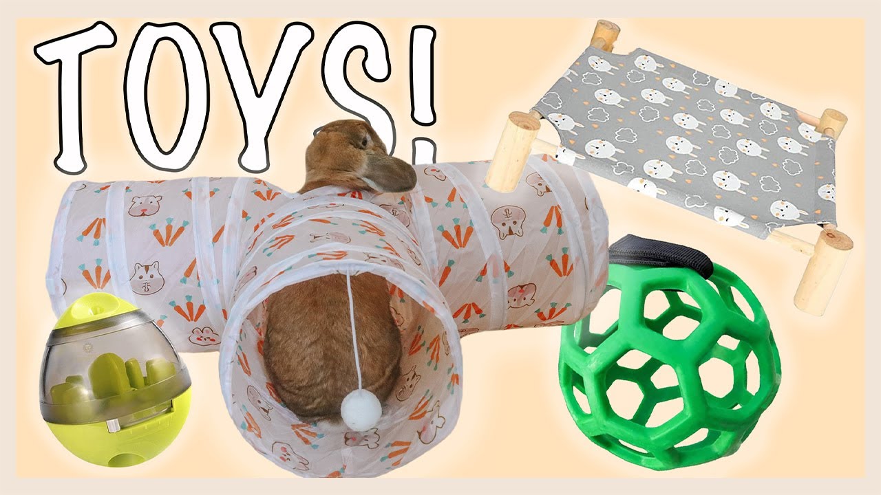 Trying New Rabbit Toys!