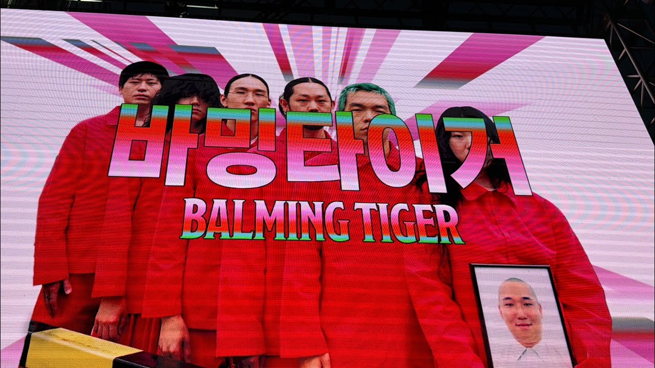 [DMZ] 바밍타이거 Balming Tiger / DMZ피스트레인 240615 @철원 고석정