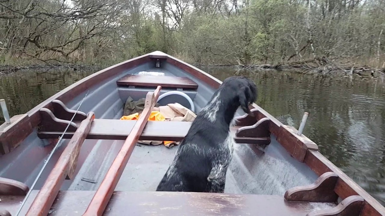 Lough Arrow County Sligo Ireland