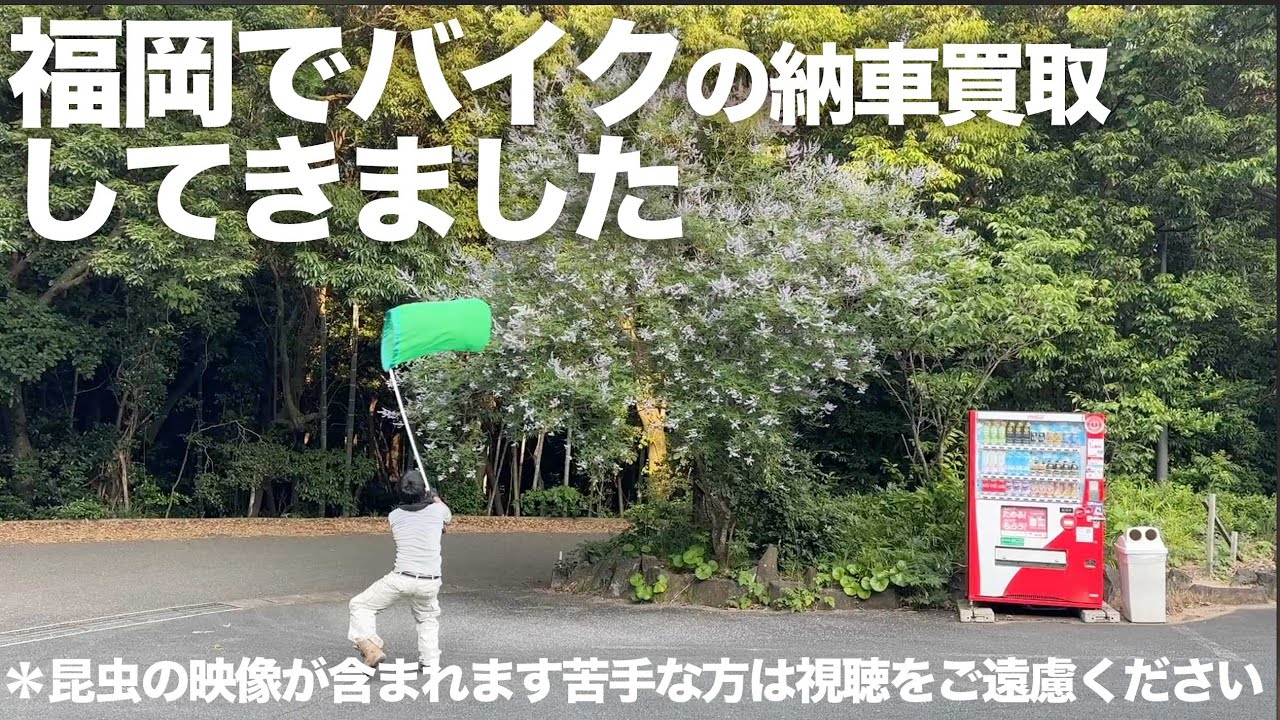 虫取りですか？いいえ「バイクの納車買取です！」九州最高！