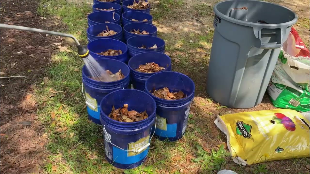 Pt. 1 / Moving Garden Plants To New Home  | How To Move Garden Plants When Moving House