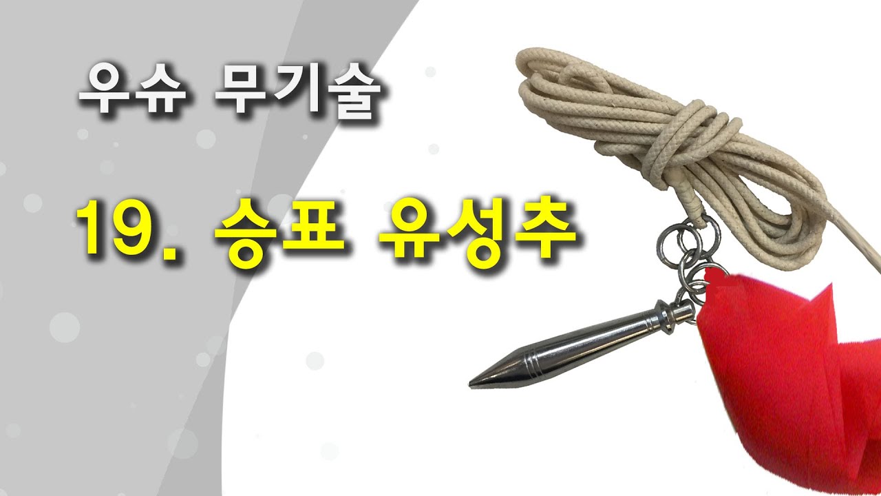 우슈 무기술 - 19. 승표 유성추