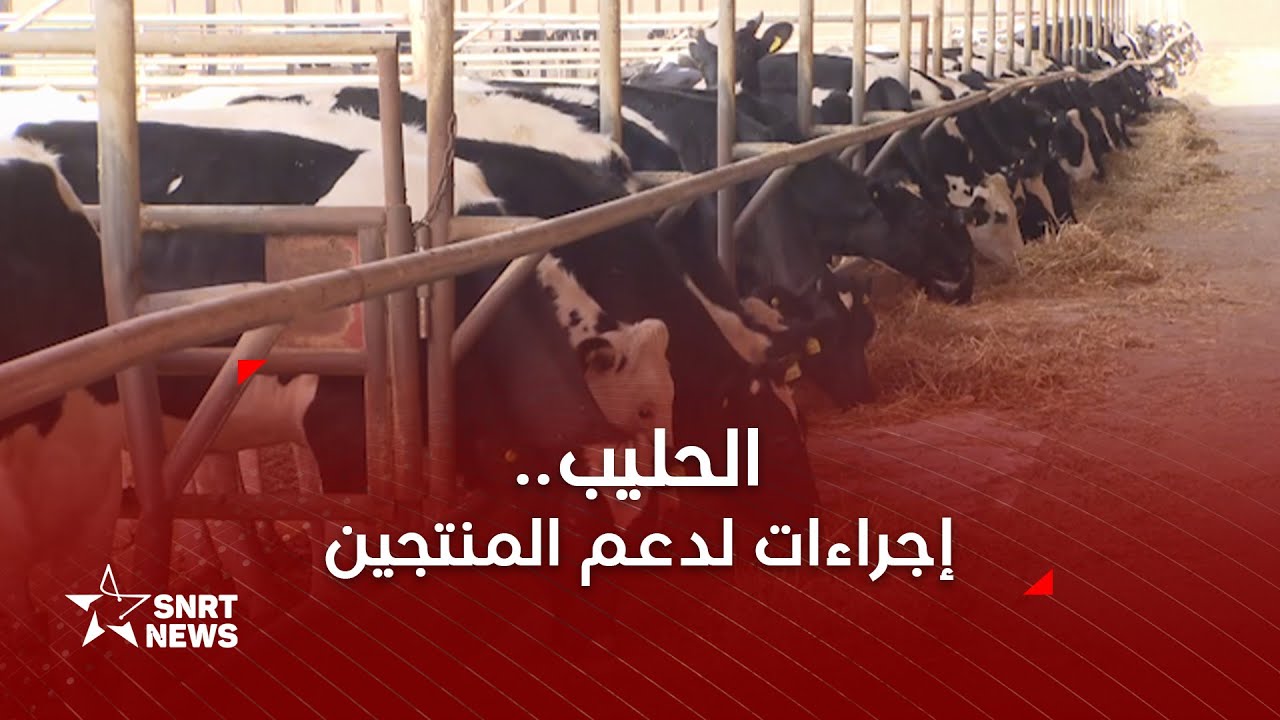 الحليب.. إجراءات لدعم المنتجين