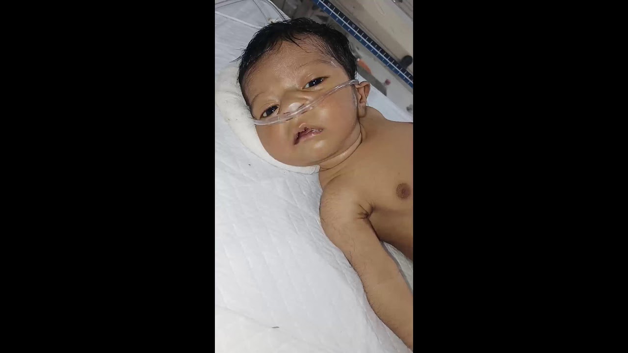 Medicalstudent4913 Live Stream