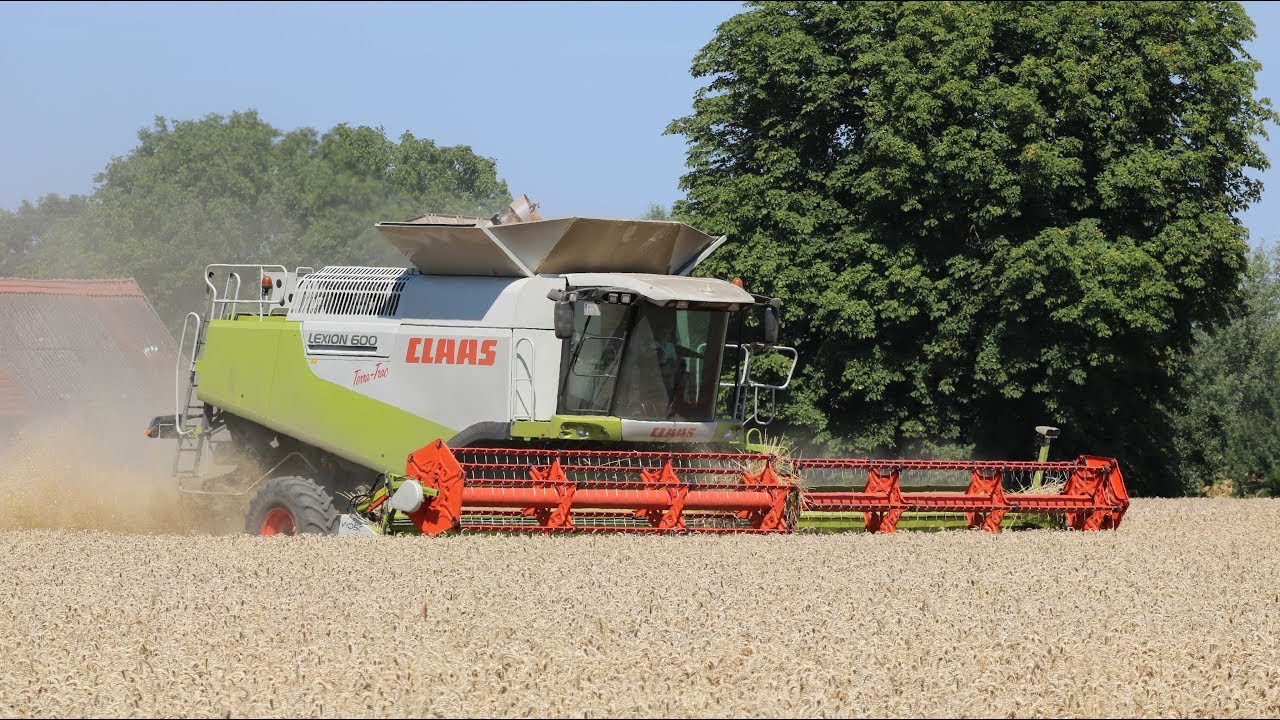 Weizenernte 2018 mit Claas Lexion 600 Terra Trac