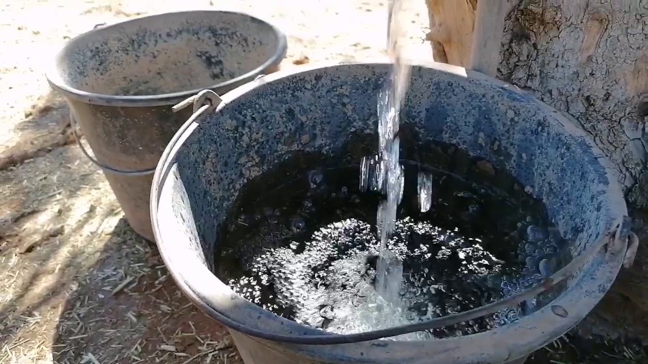 Horse🐴 Music Video ~shine bright like a diamond