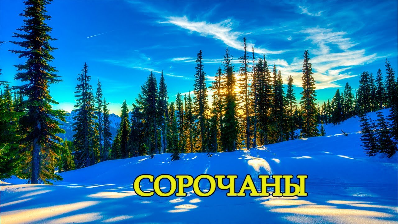 СОРОЧИНЫ ВЛОГ #Сорочаны#ГорнолыжныйКурорт#ЗимнийОтдых#Катание#Сноуборд#Подмосковье#АктивныйОтдых