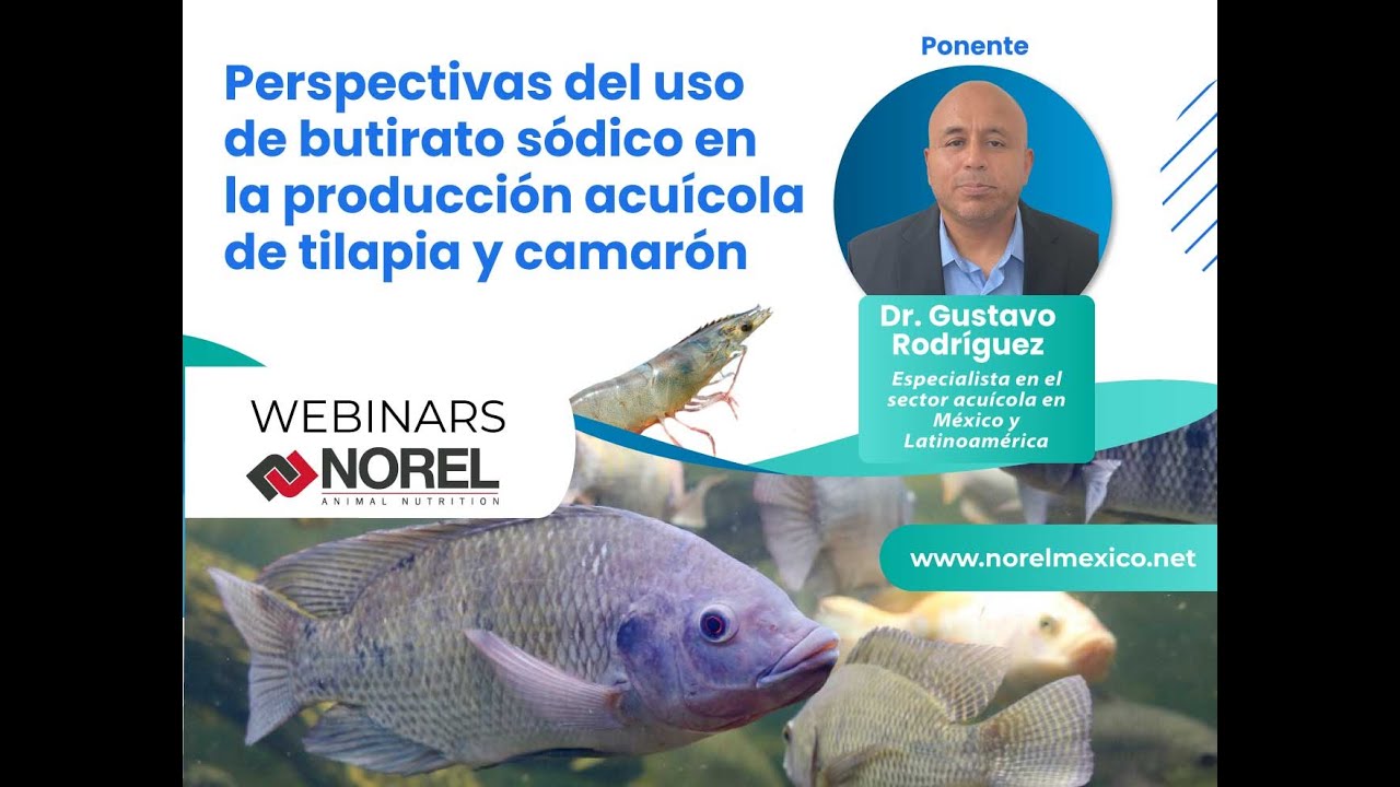 WEBINAR: PERSPECTIVAS DEL USO DE BUTIRATO SÓDICO EN LA PRODUCCIÓN ACUÍCOLA DE TILAPIA Y CAMARÓN