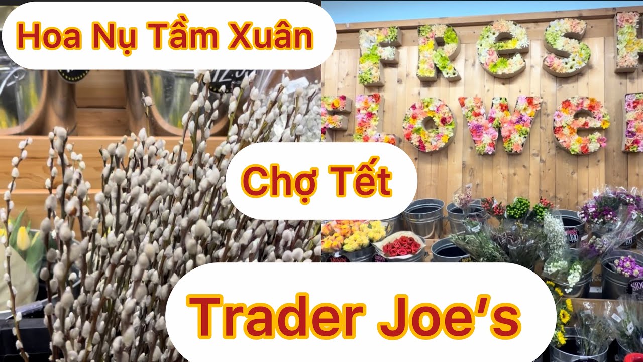 1915 : Mua Hoa Nụ Tầm Xuân Chợ Trader Joe’s Bán Bông Rẻ $ 4.99 Một Bó 12 Cây 