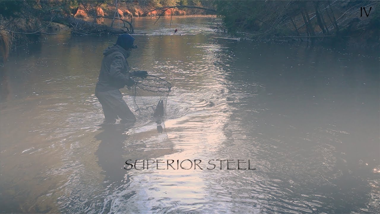 Northern Great Lakes Region Steelhead Trout - Superior Steel IV