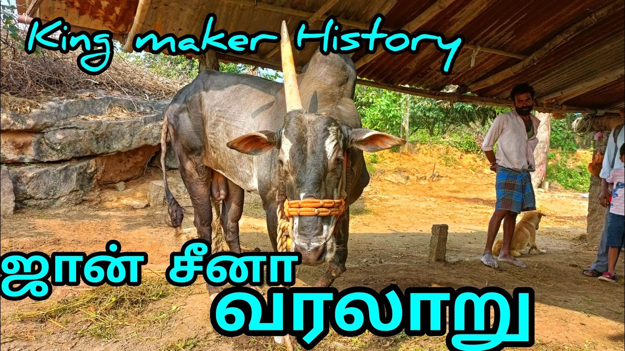 ஜான் சீனா வாழ்க்கை வரலாறு John Cena History முழு விவரம் வட மாவட்டம் எருதுகட்டு 2022