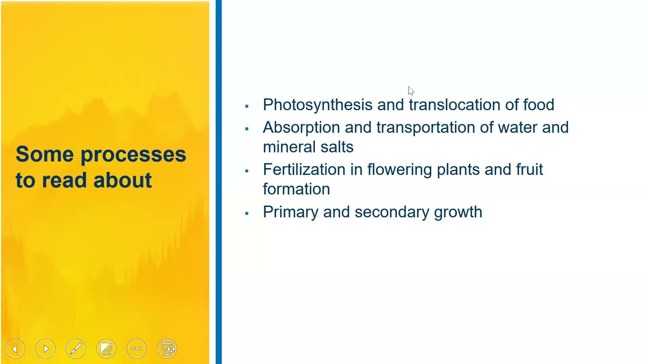 S.4 BIOLOGY FACILITATION  - PAPER STRUCTURE  | HOW TO RESPOND TO SCENARIOS - PAPER 1