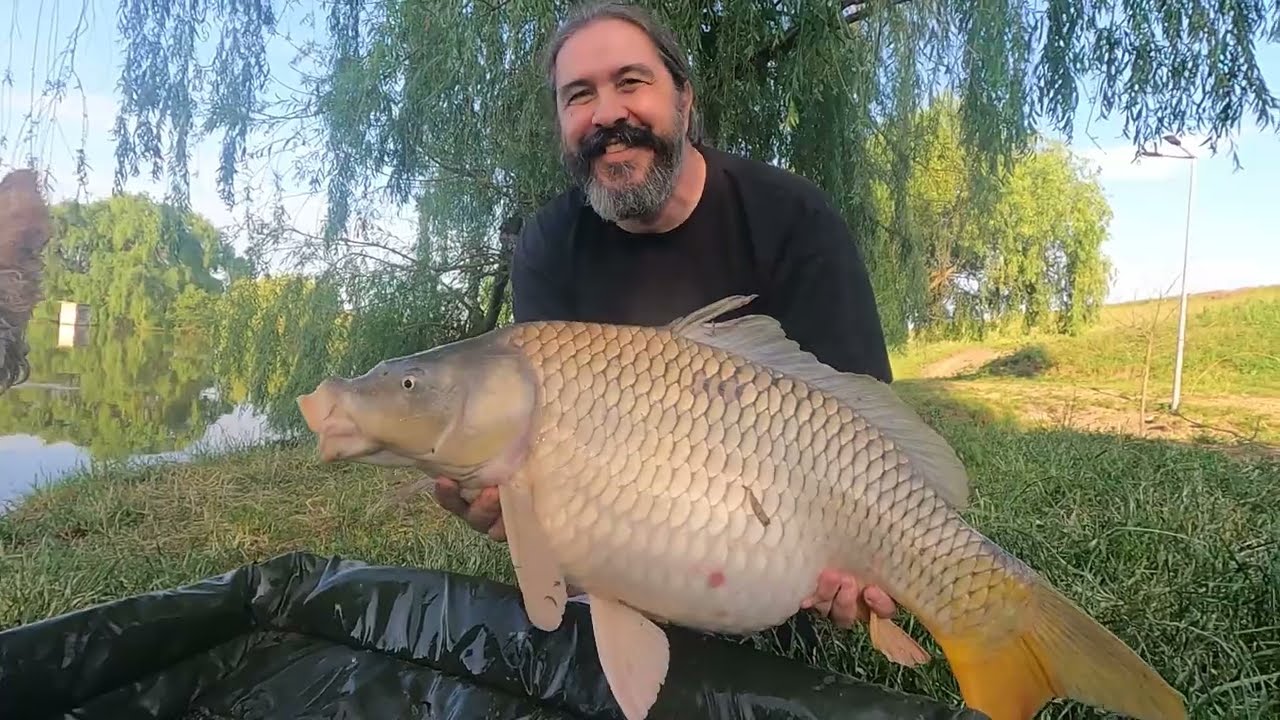 Cu finu' Florică după crap, pe Cor&acirc;ta 1
