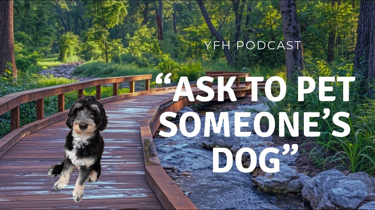 Ask to pet someone's dog