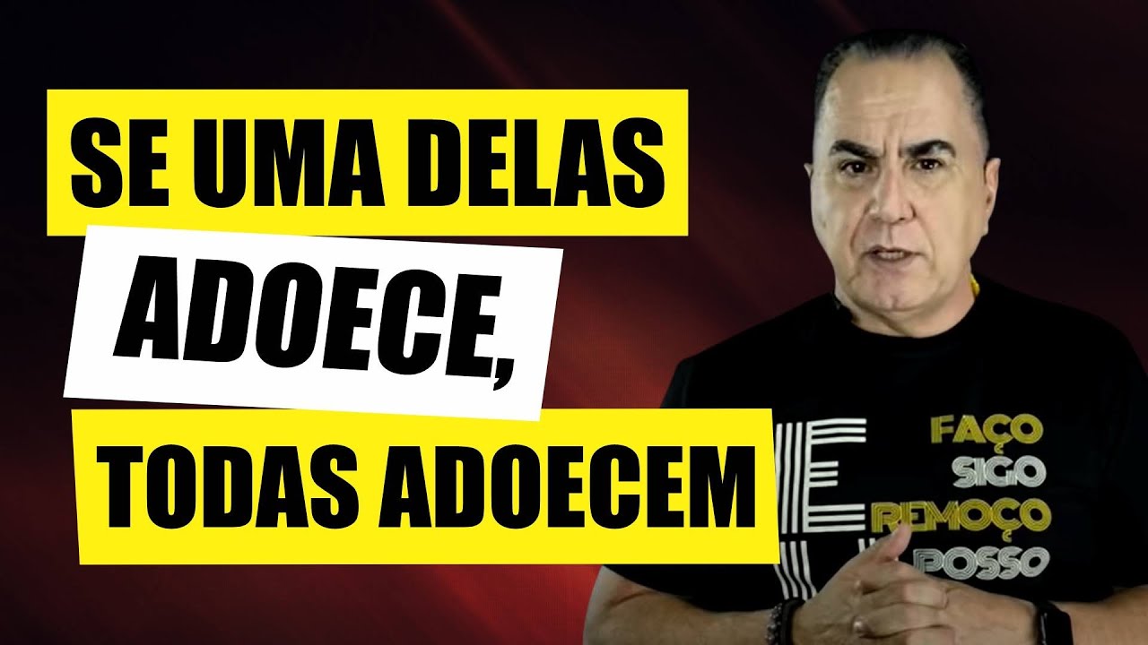 As 7 Áreas da Vida Humana #2