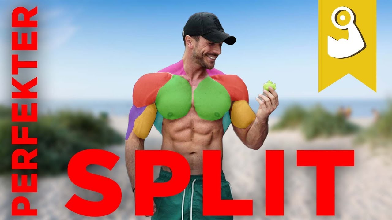 Dein perfekter Trainingsplan