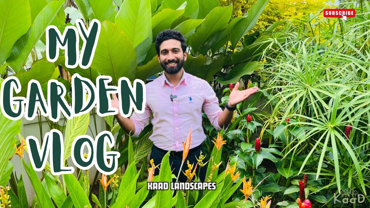 MY GARDEN VLOG | അതിമനോഹരമായ മുറ്റം |  COMPLETE PLANT AND STONE DETAILS | MALAYALAM | KAAD LANDSCAPE