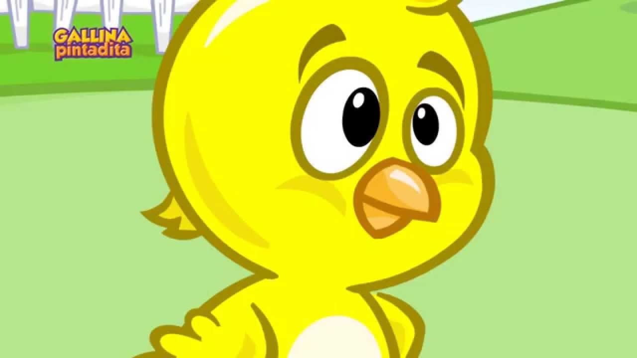 Pollito Amarillito - Gallina Pintadita - videos para bebés