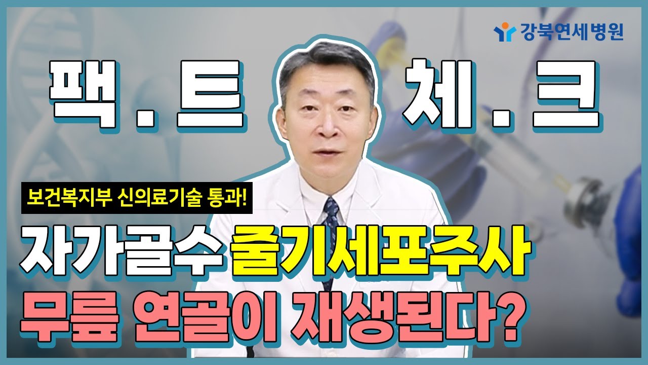 보건복지부 신의료기술 통과한 자가골수줄기세포주사! 무릎 연골이 재생된다?😮 [닥터 김용찬의 팩트체크] #줄기세포치료 #줄기세포 #무릎통증