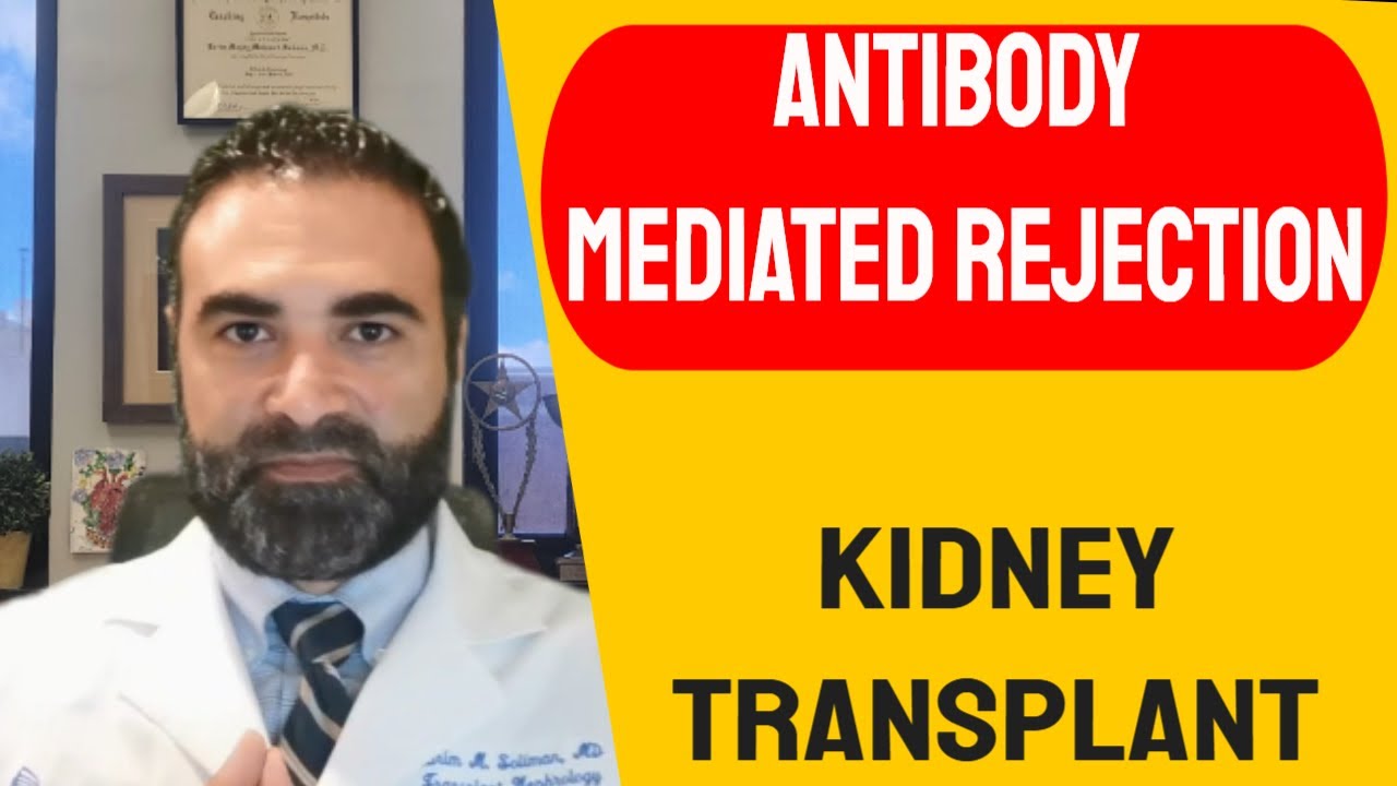 Antibody Mediated Kidney Rejection | Fundamentals
