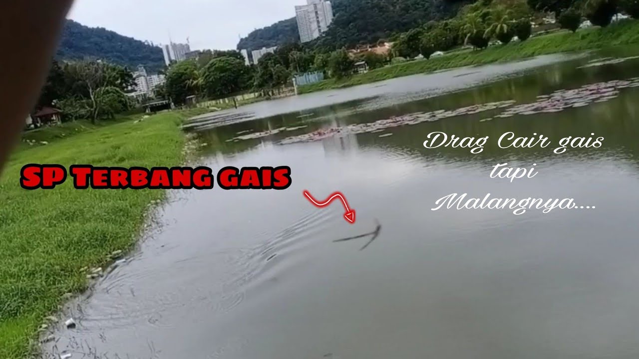 aku kena buli haruan