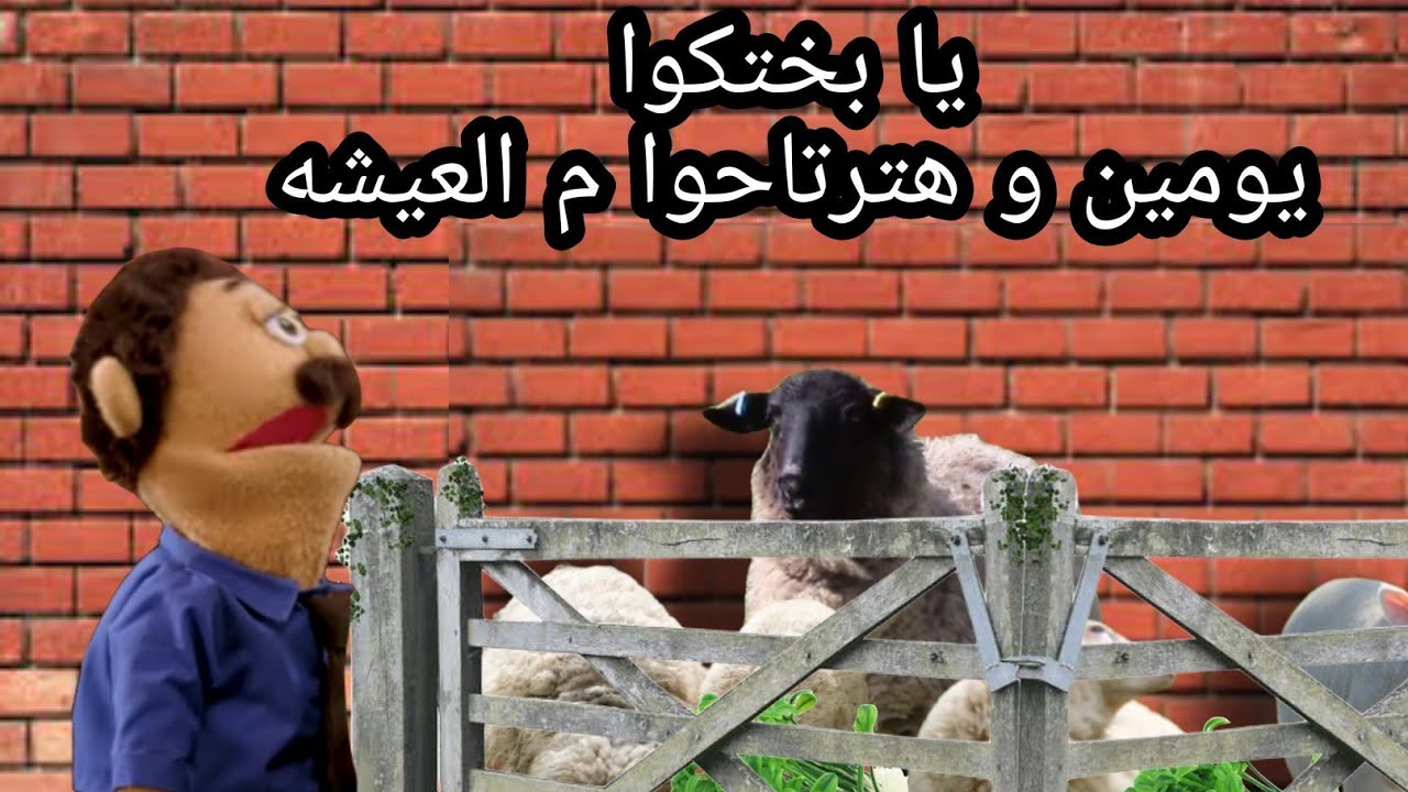 الدمياطى و خروف العيد
