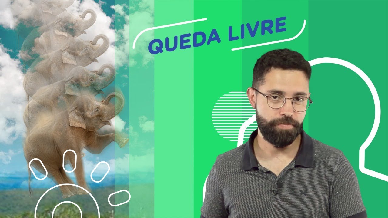 Queda livre | Elefante e tatu pularam juntos: quem caiu primeiro?