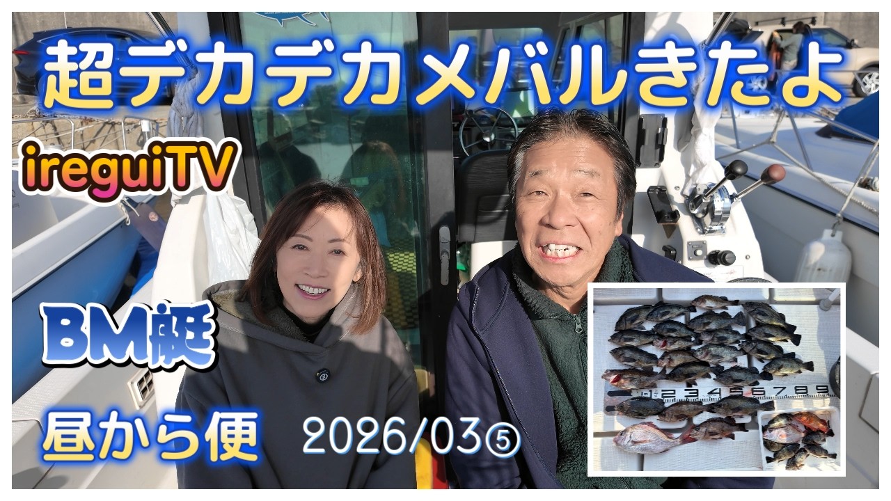 超デカメバル6連きました。うれしい❣冷たい風吹く中、本日の釣果良好【入れ食いTV】BM艇　https://youtu.be/CffKzWvoviw