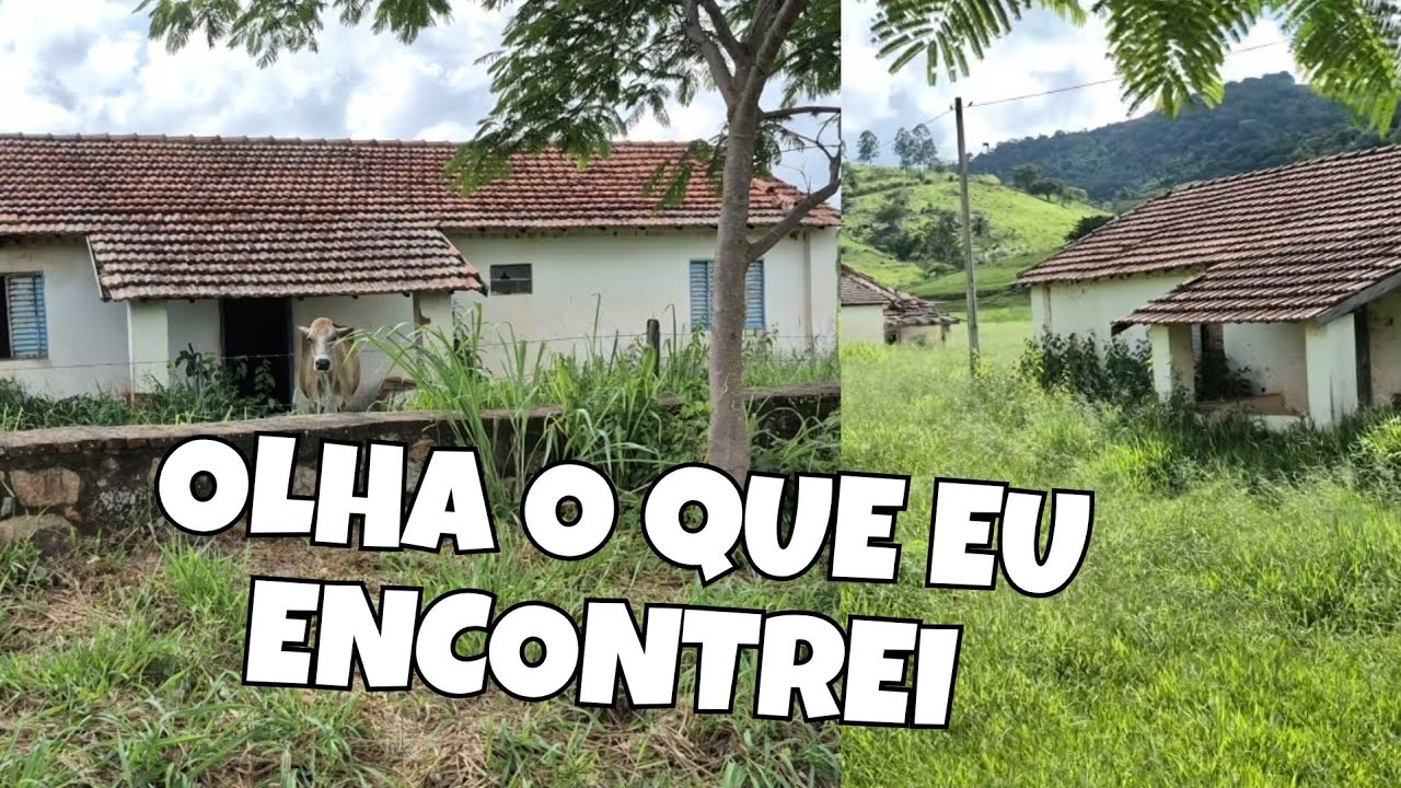 CASARÃO ESQUECIDO E COLONIA ABANDONADA | FAZENDA ANTIGA NO CAMINHO DE SÃO ROQUE DA FARTURA 
